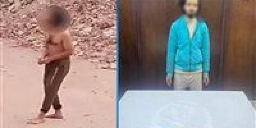 المتهم مريض نفسي.. التحقيقات تكشف تفاصيل ترويع المواطنين بسلاح أبيض في المرج - تواصل نيوز