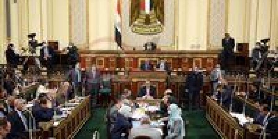 برلماني: توطين صناعة الغزل والنسيج ركيزة للأمن الصناعي وجهود الدولة متواصلة - تواصل نيوز