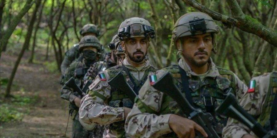الدفاع الإماراتية تعلن استكمال عودة جميع عناصر قواتها المسلحة من اليمن - تواصل نيوز