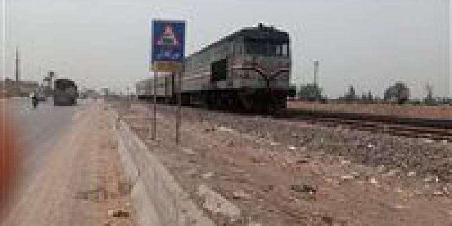 عبور خاطئ.. مصرع شخص صدمه قطار بالمنيا - تواصل نيوز