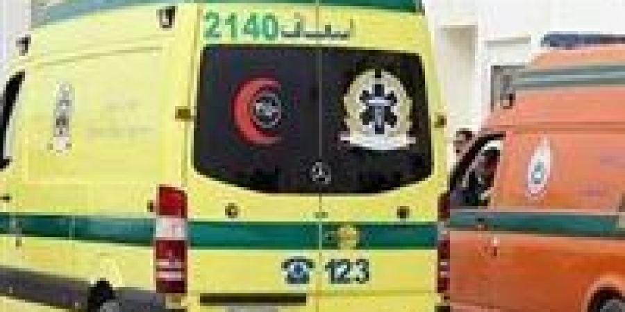 إصابة 12 شخص في حادث سير بالعدوة بصحراوي المنيا الغربي - تواصل نيوز