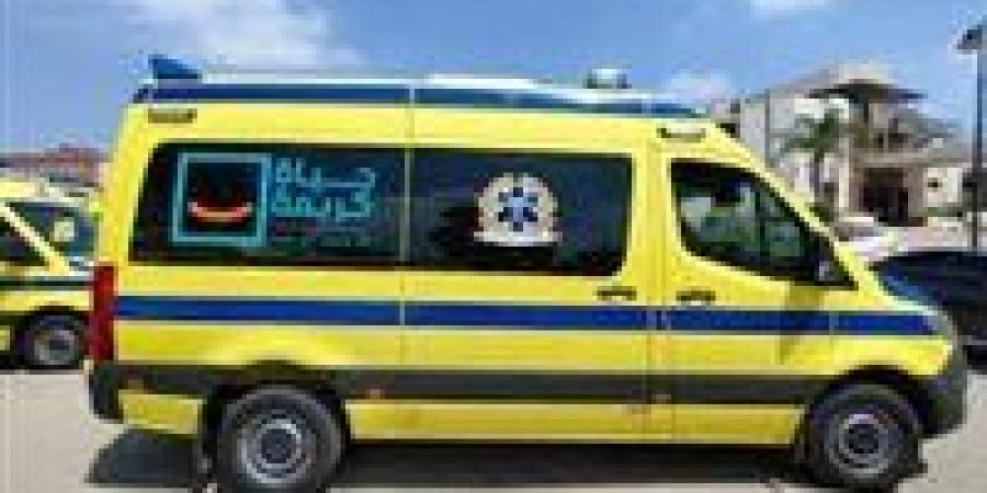 12 مصاب وبينهم أطفال .. ننشر أسماء مصابي حادث ميكروباص المنيا - تواصل نيوز