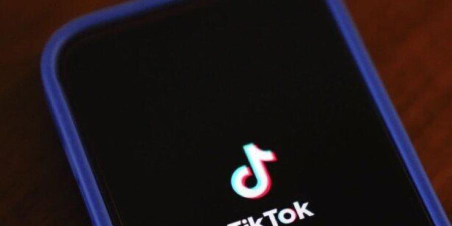 «فلوس مقابل لايكات».. تحذير قانوني من استغلال الأطفال على تيك توك - تواصل نيوز