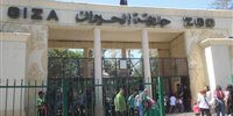 «جنينة الحيوانات» تعود للحياة من جديد..كيف تم تحولها لأيقونة عالمية داخل قلب القاهرة - تواصل نيوز