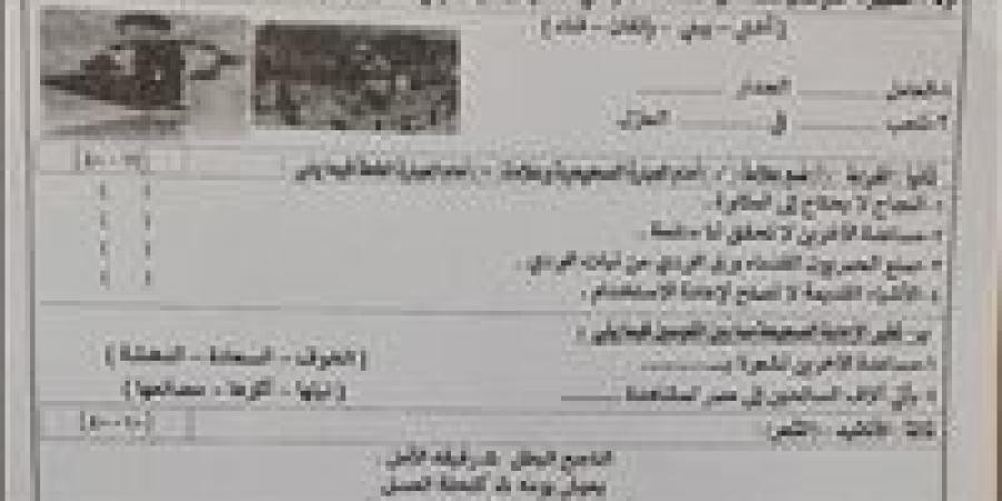 نموذج امتحان اللغة العربية للصف الثالث الابتدائي للفصل الدراسي الأول - تواصل نيوز