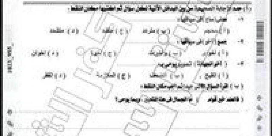جروبات الغش تدعي تداول امتحان اللغة العربية للصف الثالث الإعدادي بكفر الشيخ - تواصل نيوز