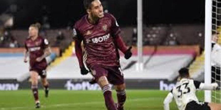 مواجهة قوية.. شاهد بث مباشر لمباراة ليدز يونايتد وفولهام في الدوري الإنجليزي - تواصل نيوز