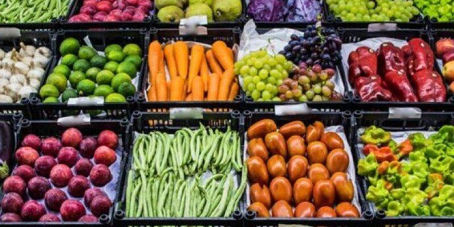 البطاطس بـ 12 جنيها.. أسعار الخضروات والفاكهة اليوم السبت 17 يناير 2026 - تواصل نيوز