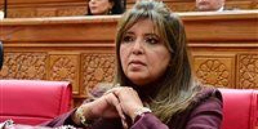 النائبة داليا السعدني: الإعلام والثقافة خط الدفاع الأول عن الهوية المصرية في مواجهة محاولات التشويه - تواصل نيوز
