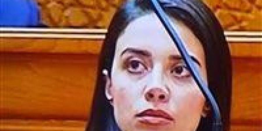 النائبة روان النحاس تتقدم بطلب إحاطة بشأن انتهاكات حقوق الأطفال في دور رعاية الأيتام - تواصل نيوز