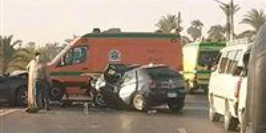 بسبب السرعة الجنونية.. مصرع طفل دهسًا أسفل عجلات سيارة بالشيخ زايد - تواصل نيوز