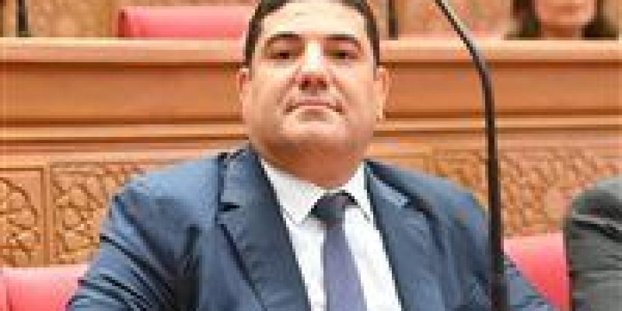 أحمد عبد المجيد: توجيهات الرئيس السيسي لتعزيز الاستفادة من تجربة اليابان التعليمية فرصة للنهوض بالتعليم في مصر - تواصل نيوز