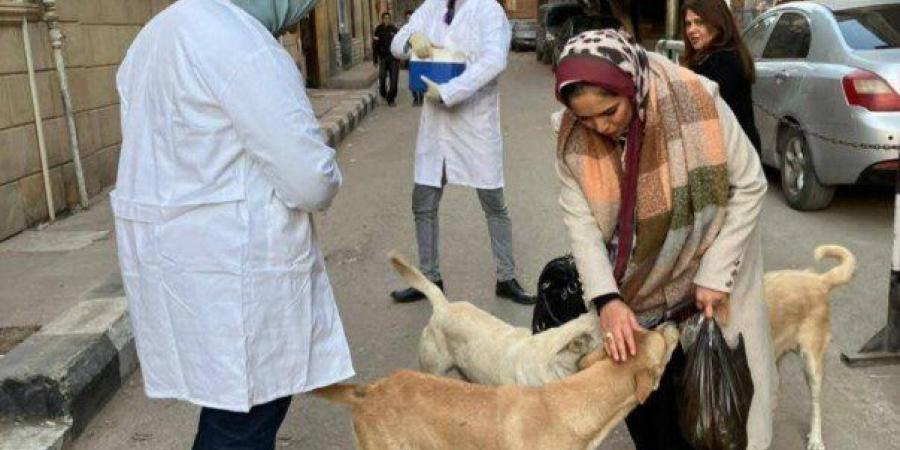 لحماية المواطنين.. المنيا تُطلق شارة البدء لتحصين الكلاب الحرة ضد السعار - تواصل نيوز