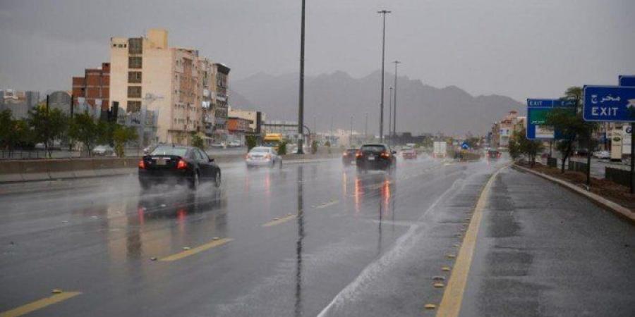 طقس مصر المتوقع اليوم الأحد.. برودة شديدة وشبورة كثيفة وأمطار متفرقة والصغرى بالقاهرة 10 درجات - تواصل نيوز