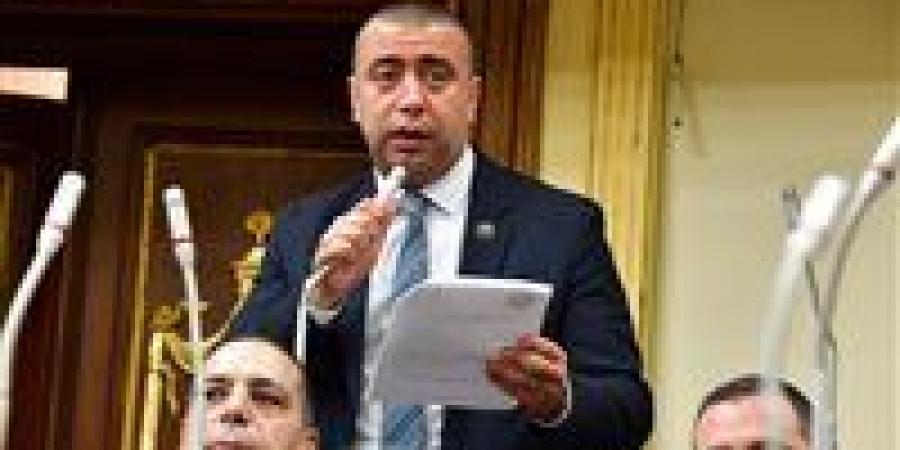 النائب أحمد بهاء شلبي: لجنة الصناعة تعتمد خطة مختلفة قائمة على العمل الميداني والاستماع للمصنعين - تواصل نيوز