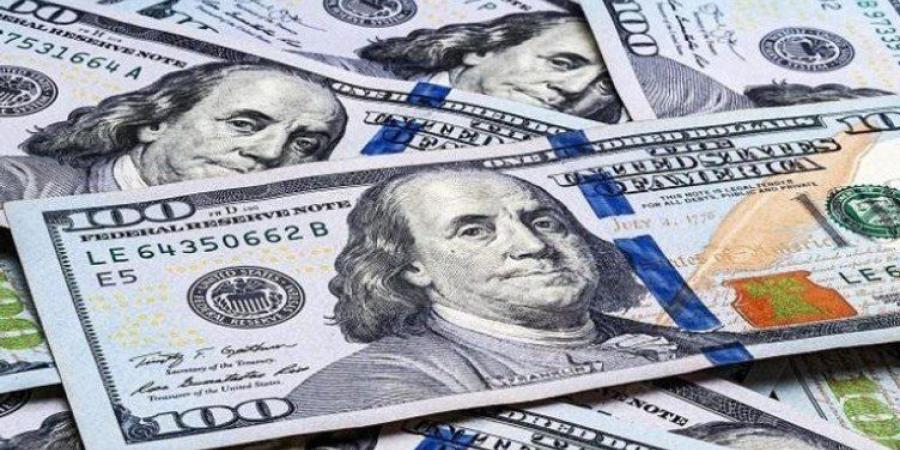 استقرار سعر الدولار مقابل الجنيه المصري مع بداية تعاملات اليوم الأحد - تواصل نيوز