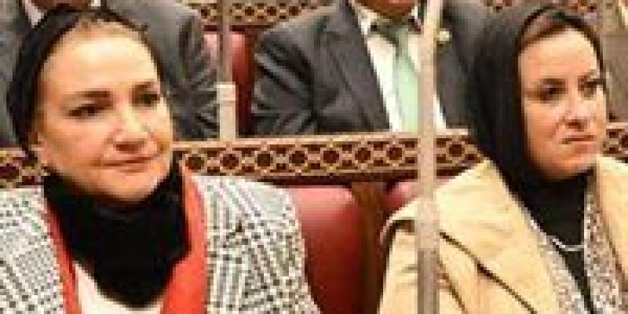 النائبة رانية عز الدين عضوًا بلجنة القيم خلال دور الانعقاد الأول بمجلس الشيوخ - تواصل نيوز
