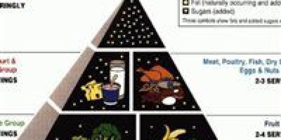 خطر صحي وبيئي حول الهرم الغذائي الأمريكي.. وخبراء يحذرون - تواصل نيوز