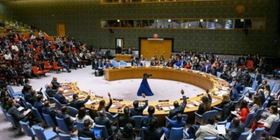 مجلس الأمن يناقش في جلسة مغلقة تطورات جنوب السودان ومستقبل بعثة «يونميس» - تواصل نيوز