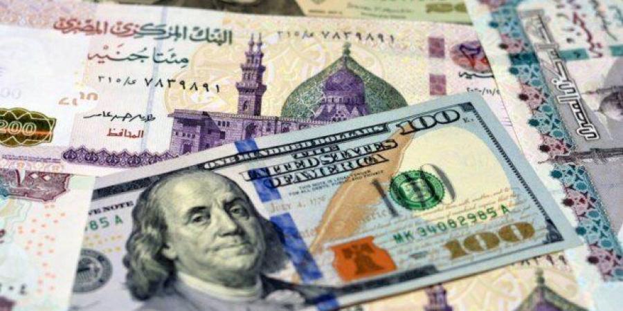الأخضر بكام؟.. سعر الدولار مقابل الجنيه اليوم الاثنين 19 يناير 2026 - تواصل نيوز