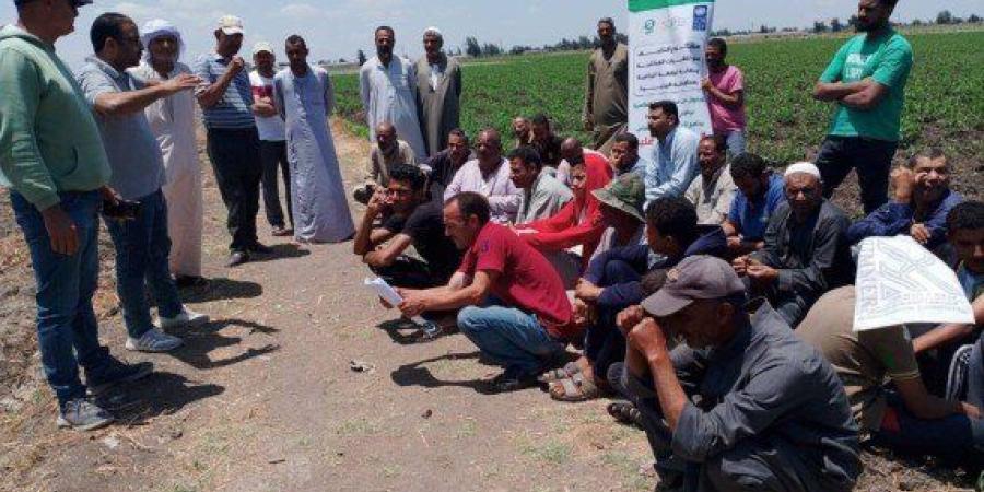 بذور الأمل في مواجهة المناخ.. رحلة البحث عن الأثر من الدلتا إلى الصعيد - تواصل نيوز