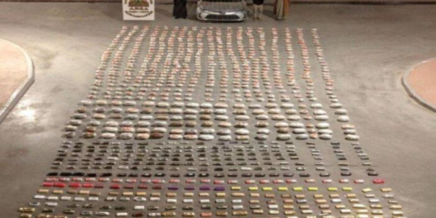 بحوزتهم مخدرات بـ 100 مليون جنيه.. سقوط أباطرة «الكيف» في الإسماعيلية - تواصل نيوز