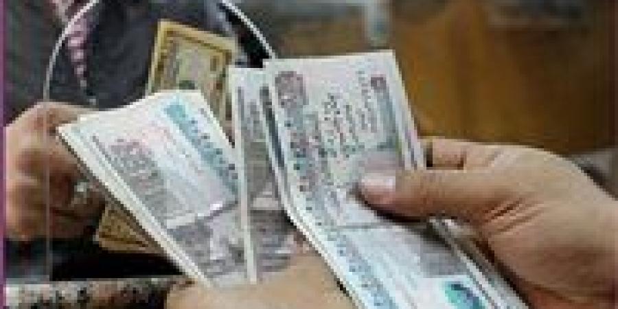 مرتبات يناير 2026 تُصرف مبكرًا.. قرار رسمي - تواصل نيوز