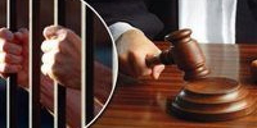 المشدد 6 سنوات للمتهم بهتك عرض شاب من ذوي الهمم بالشرقية - تواصل نيوز