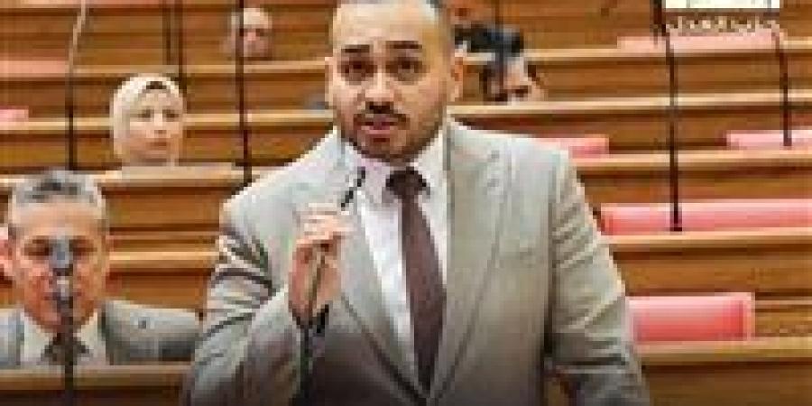 النائب أحمد ناصر يتقدم بطلب إحاطة بشأن جدوى المناطق الحرة الخدمية وأثرها على تنمية صادرات الخدمات - تواصل نيوز