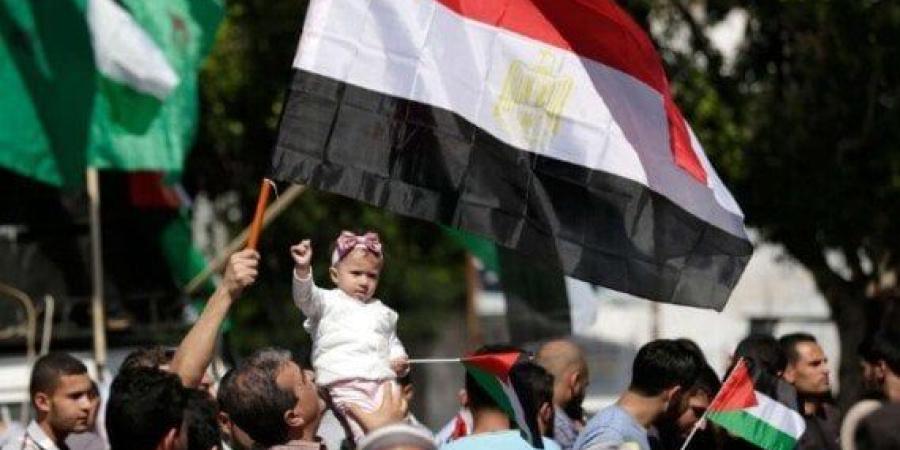 عاجل.. بدء اجتماع الفصائل الفلسطينية والوسطاء من مصر وقطر وتركيا في القاهرة - تواصل نيوز