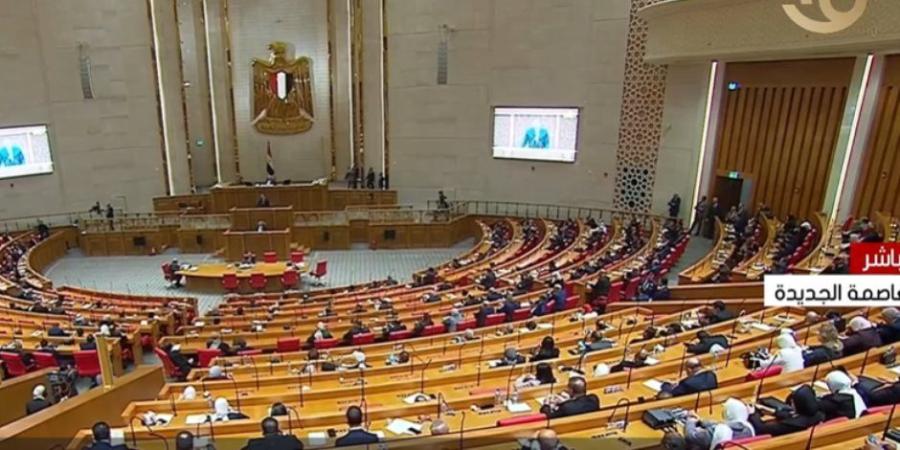 بحضور وزراء المالية والإسكان والتعليم..  اجتماعات مكثفة للجان النوعية بمجلس النواب - تواصل نيوز