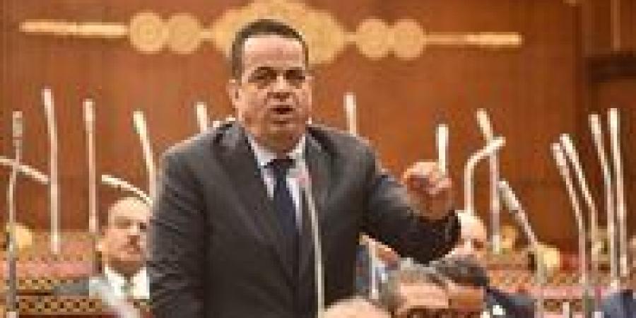 النائب عصام عفيفي: خطة التنمية الاقتصادية والاجتماعية 2026/2027 تعكس طموحًا تنمويًا مهمًا.. ونطالب بمزيد من الوضوح بشأن آليات التنفيذ وقياس الأثر على المواطن - تواصل نيوز