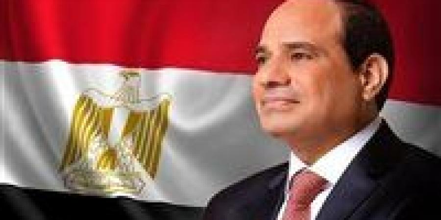 الرئيس السيسي يستقبل اليوم رئيس دولة إريتريا - تواصل نيوز