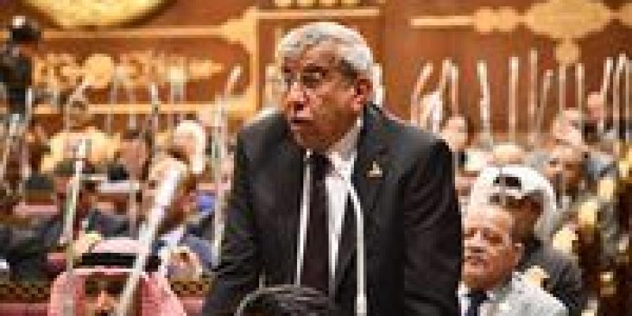 النائب علاء عبد النبي يرفض خطة التنمية: الأرقام غير واقعية ولا تعكس الوضع الفعلي - تواصل نيوز