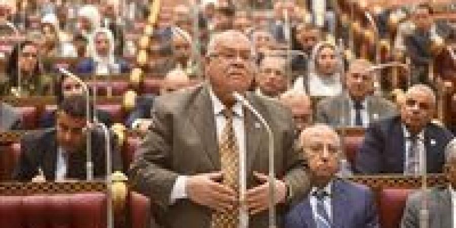 النائب ناجي الشهابي لـ " تحيا مصر": مصلحة الطفل أولًا.. وأرفض تحويل قانون الأسرة لـ ساحة عقوبات بين الأبوين - تواصل نيوز