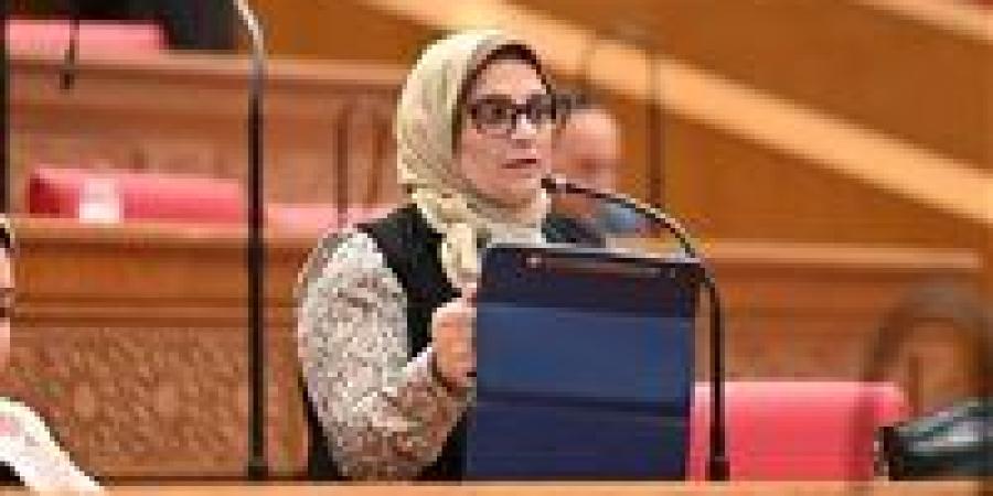 نجلاء العسيلي: قمة السيسي وأفورقي تؤكد ريادة مصر في حماية أمن البحر الأحمر وصياغة توازنات الاستقرار بالمنطقة - تواصل نيوز