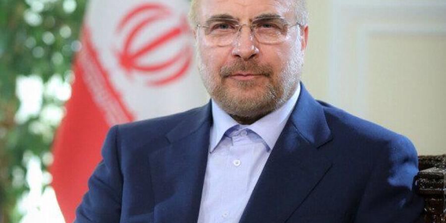 رئيس البرلمان الإيراني: الدبلوماسية مستمرة بالتوازي مع العمليات العسكرية - تواصل نيوز