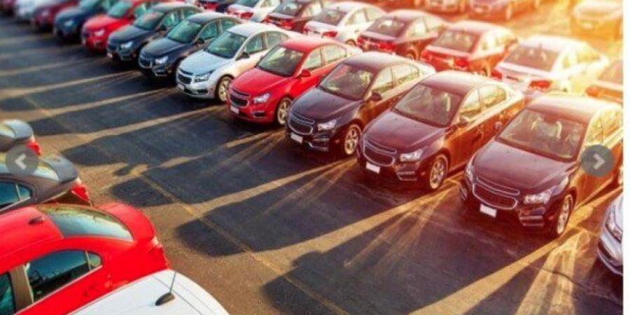 عمر بلبع: السيارات الصينية عززت حصتها في السوق المصرية بنحو 60% مقارنة بالفترات السابقة - تواصل نيوز