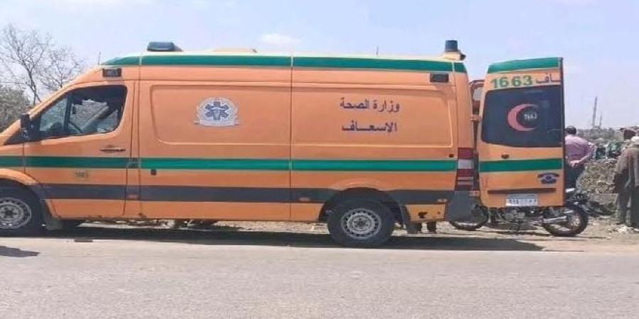 إصابة 11 عاملًا في حادث تصادم ميكروباص أمام كوبري بردين بطريق الزقازيق - بلبيس - تواصل نيوز