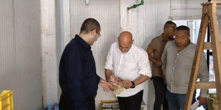 ضبط 2 طن دواجن ولحوم غير صالحة للاستهلاك بالعبور - تواصل نيوز
