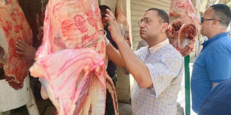 تحرير 240 مخالفة خلال حملات رقابية مكثفة على المخابز والأسواق بالمنيا - تواصل نيوز