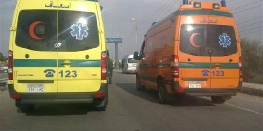 بسبب السرعة الزائدة.. إصابة 6 أشخاص في حادث مروع بطريق «القاهرة - الفيوم» الصحراوي - تواصل نيوز
