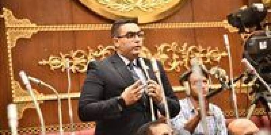 أحمد خالد ممدوح يشيد بواقعية الخطة الاقتصادية ويطالب بإدراج الإعلام كشريك استراتيجي في التنمية - تواصل نيوز