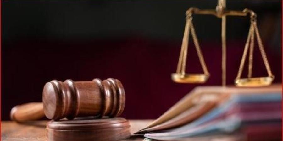 اليوم.. استكمال محاكمة 7 متهمين في خلية شبكة العملة - تواصل نيوز