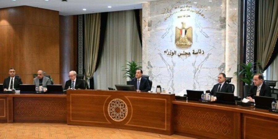 أبرزها استمرار جولات معرض كنوز الفراعنة.. 7 قرارات جديدة خلال اجتماع الحكومة الأسبوعي - تواصل نيوز
