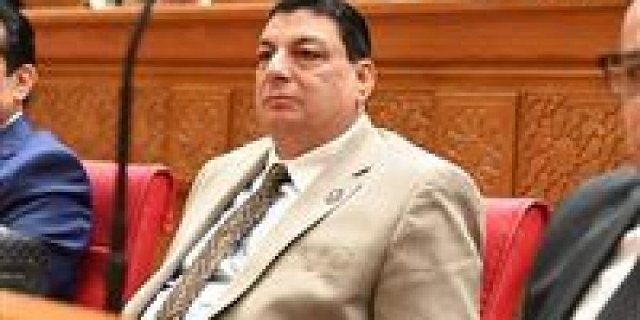 سامي نصرالله: تأكيد الرئيس السيسي دعم وحدة السودان يجسد الدور المصري المحوري في حماية أمن واستقرار المنطقة - تواصل نيوز