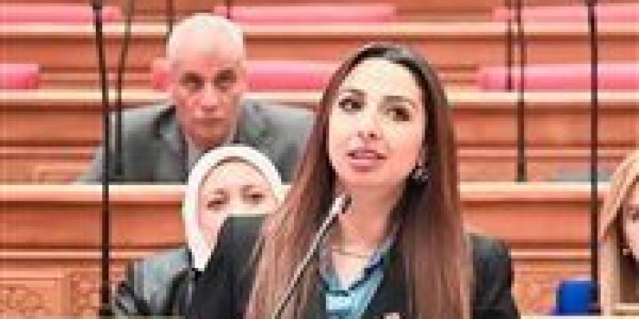 النائبة نشوى الشريف: إعادة مناقشة ملف حملة الماجستير والدكتوراه بلجنة القوى العاملة الثلاثاء المقبل - تواصل نيوز