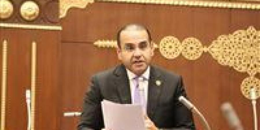 النائب محمد المنزلاوي: مصر تقود جهودًا متوازنة لترسيخ الاستقرار ودفع مسار السلام في المنطقة - تواصل نيوز
