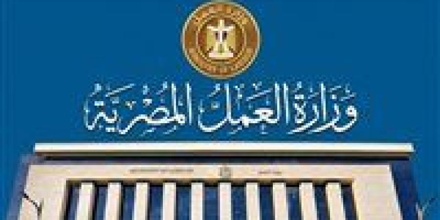 وزارة العمل تحذر من إعلانات التوظيف الوهمية بالخارج - تواصل نيوز