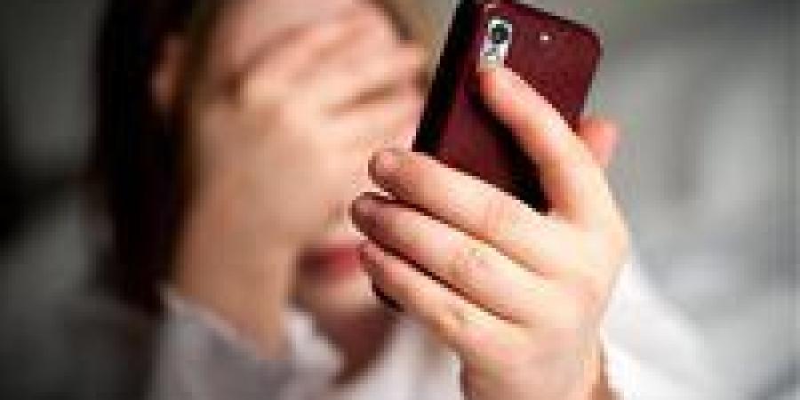 استغل صيانة الهاتف.. السجن لعامين لعامل بمحل هواتف ابتز طالبة بصور خاصة - تواصل نيوز